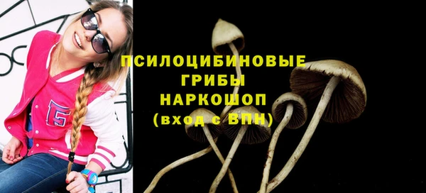 MESCALINE Кукмор